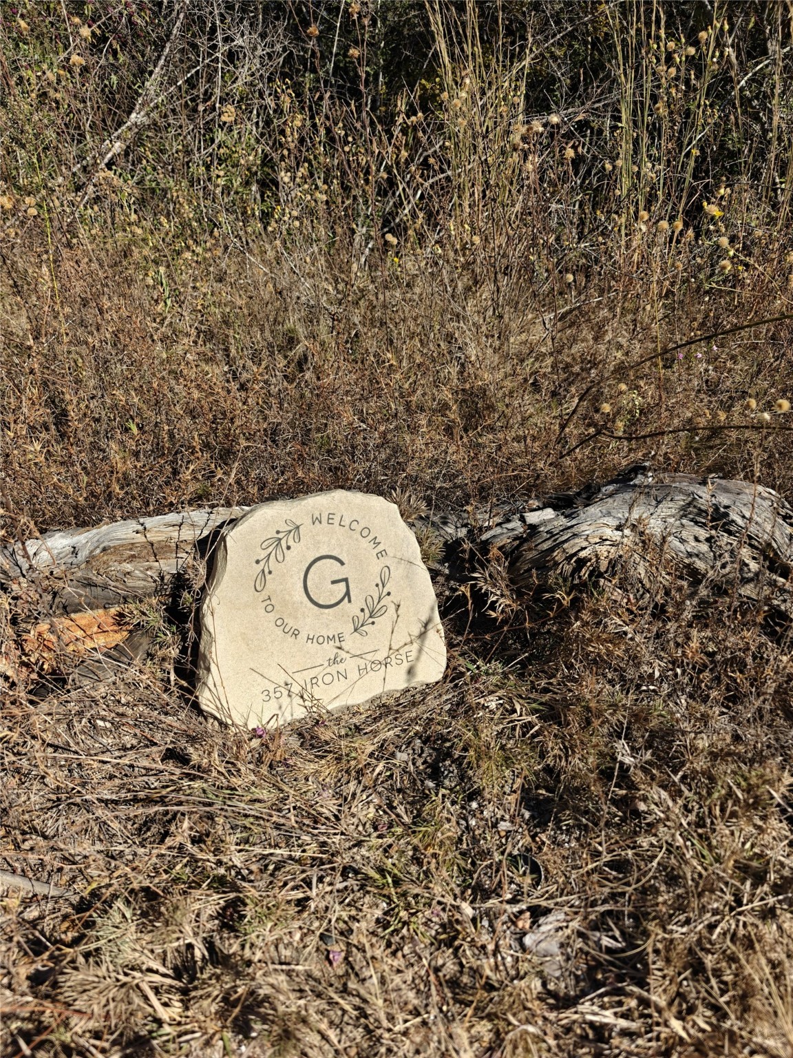 357 Iron Horse Road New Waverly, TX 77358 - Photo 3 of 5 a view of a tree in a yard