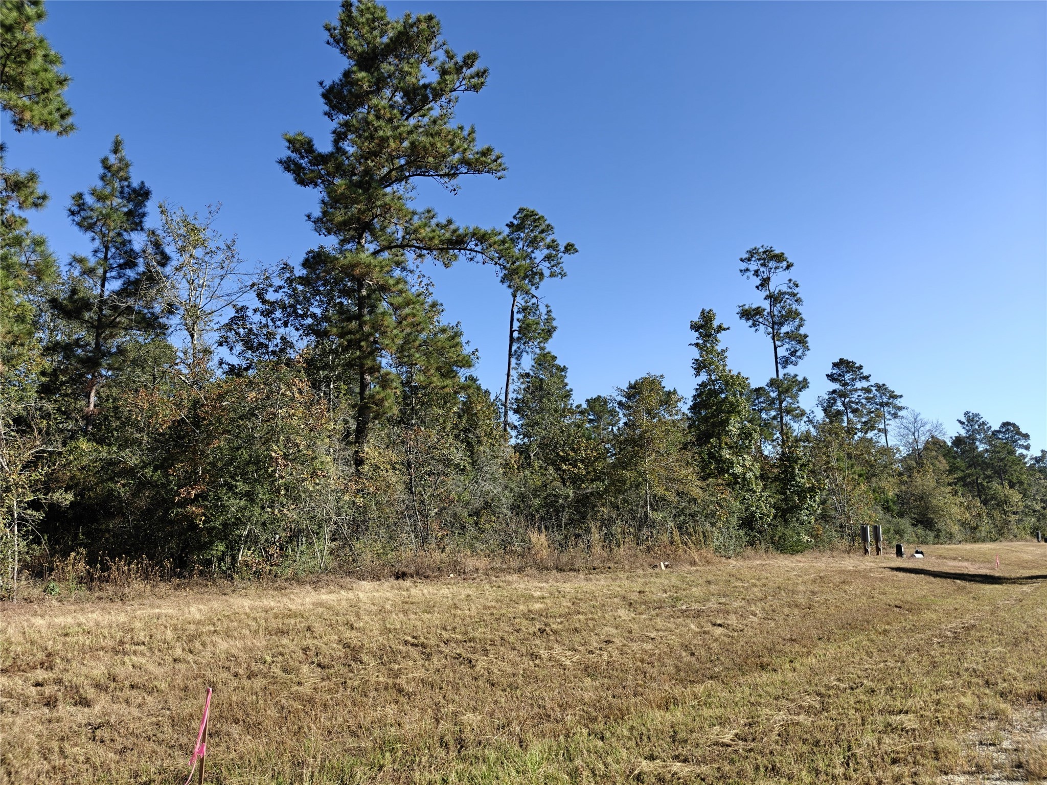 357 Iron Horse Road New Waverly, TX 77358 - Photo 5 of 5 a view of a yard with a tree