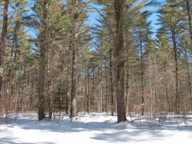 1629 Mattke Road Woodruff, WI 54568 - Photo 29 of 30 Gallery Image 29