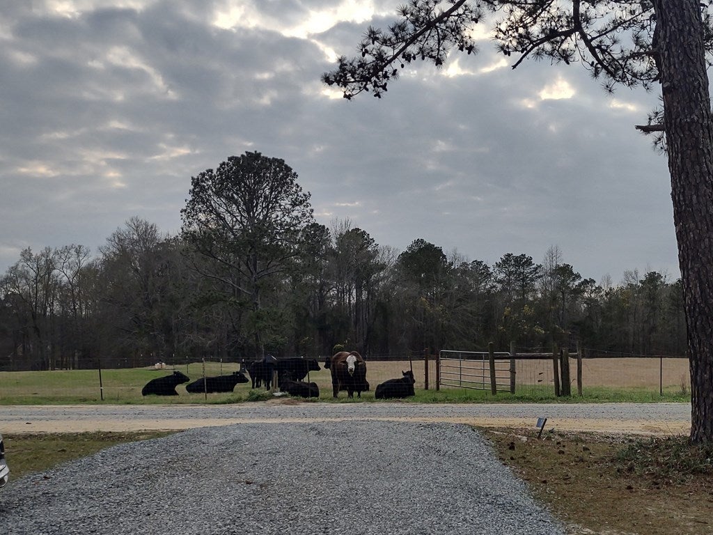 487 Pioneer Road Macon, GA 31217 - Photo 17 of 22 Gallery Image 17