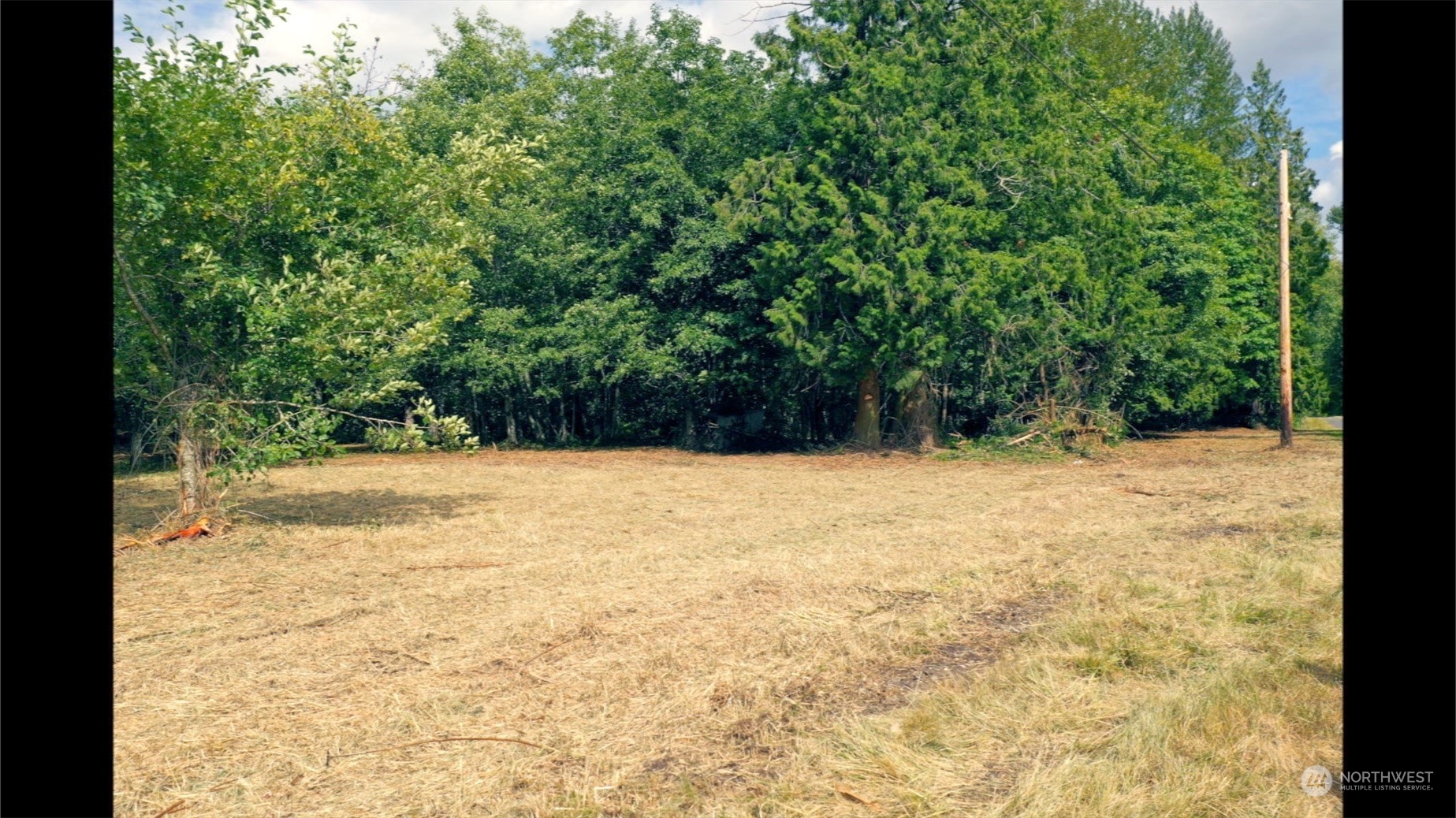 306 East Horton Road Bellingham, WA 98226 - Photo 3 of 11