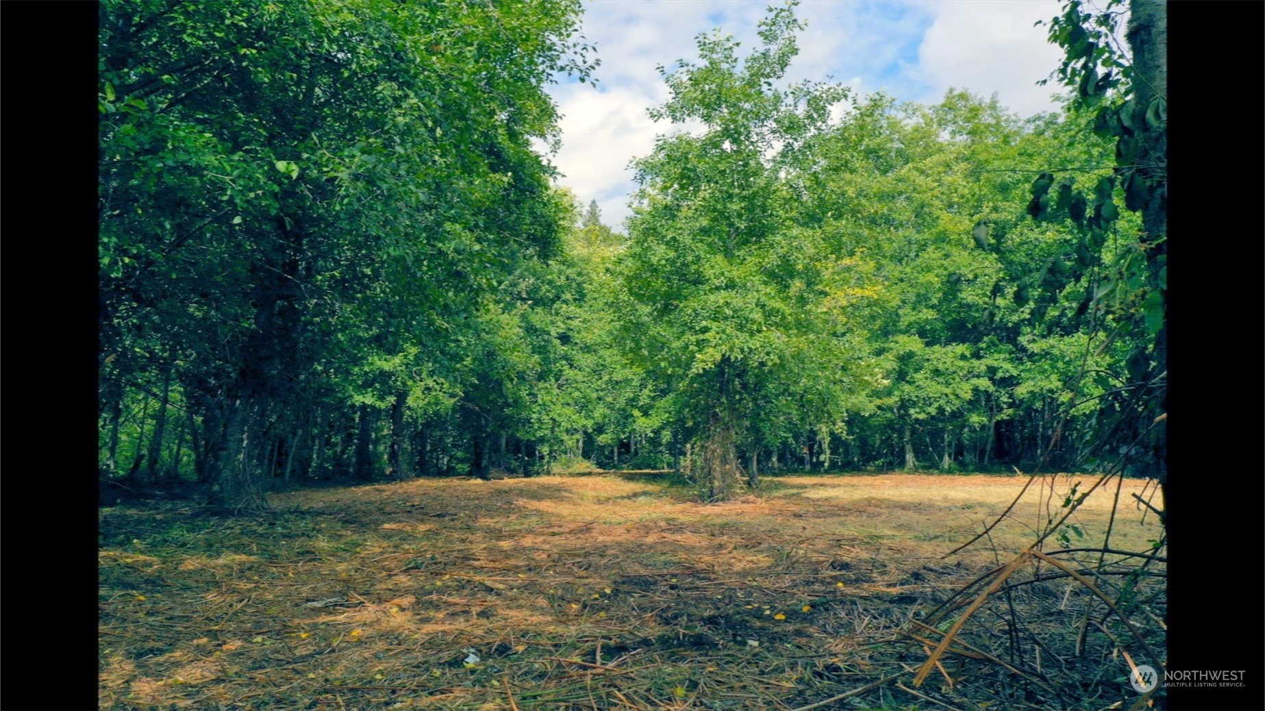 306 East Horton Road Bellingham, WA 98226 - Photo 4 of 11