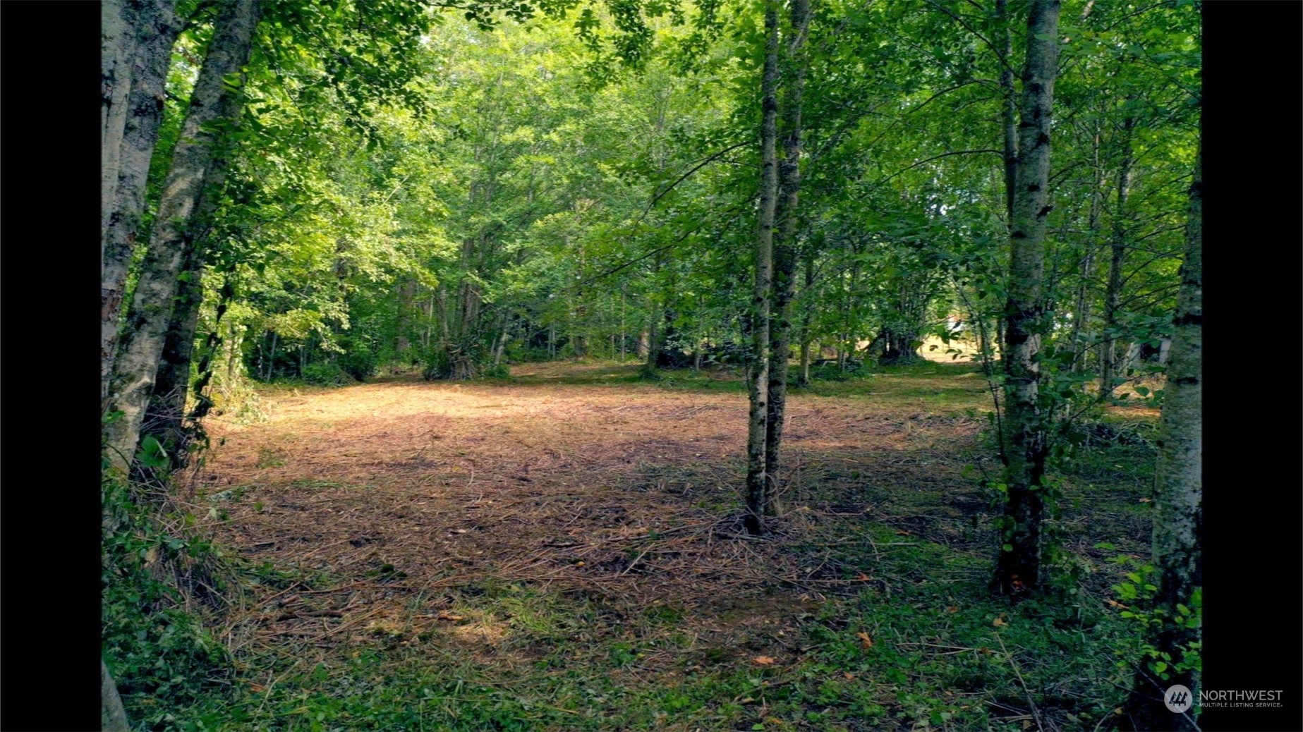 306 East Horton Road Bellingham, WA 98226 - Photo 5 of 11