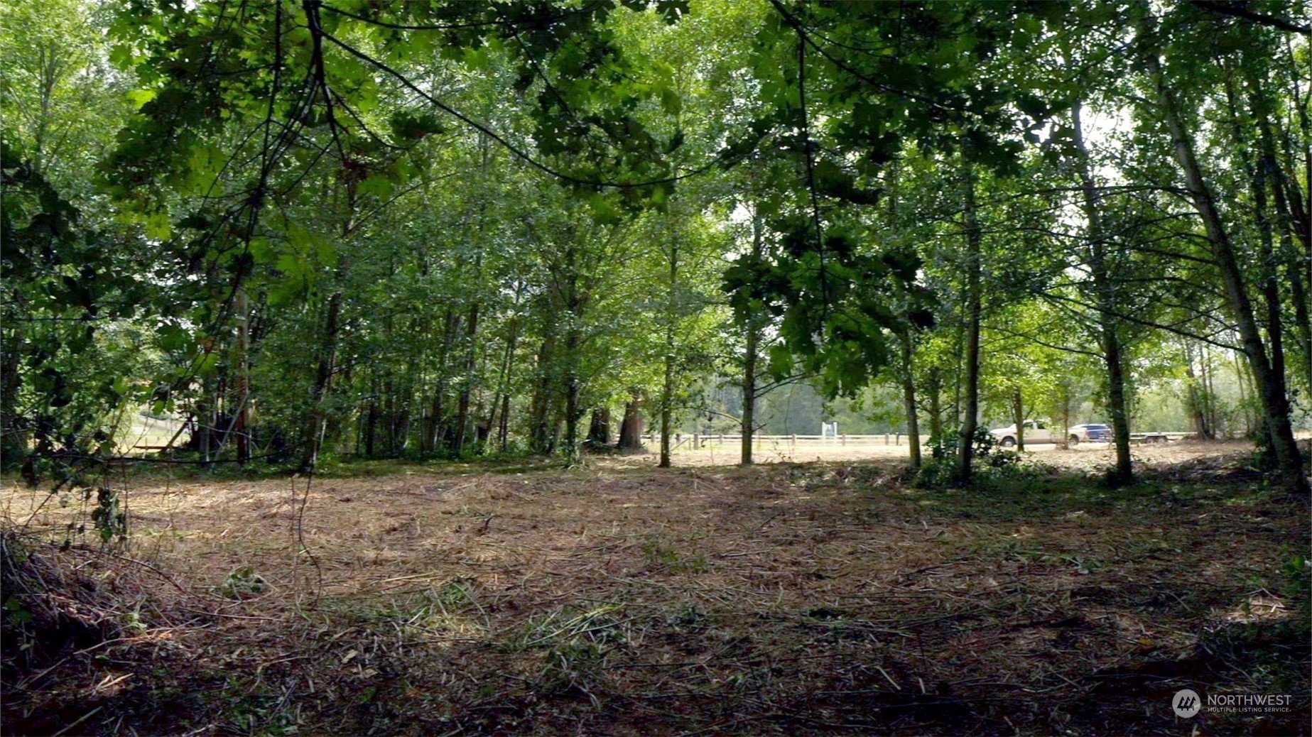 306 East Horton Road Bellingham, WA 98226 - Photo 6 of 11