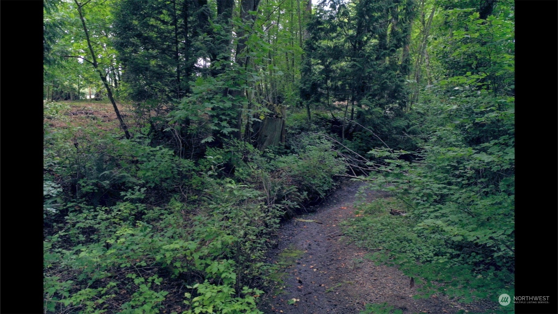 306 East Horton Road Bellingham, WA 98226 - Photo 7 of 11