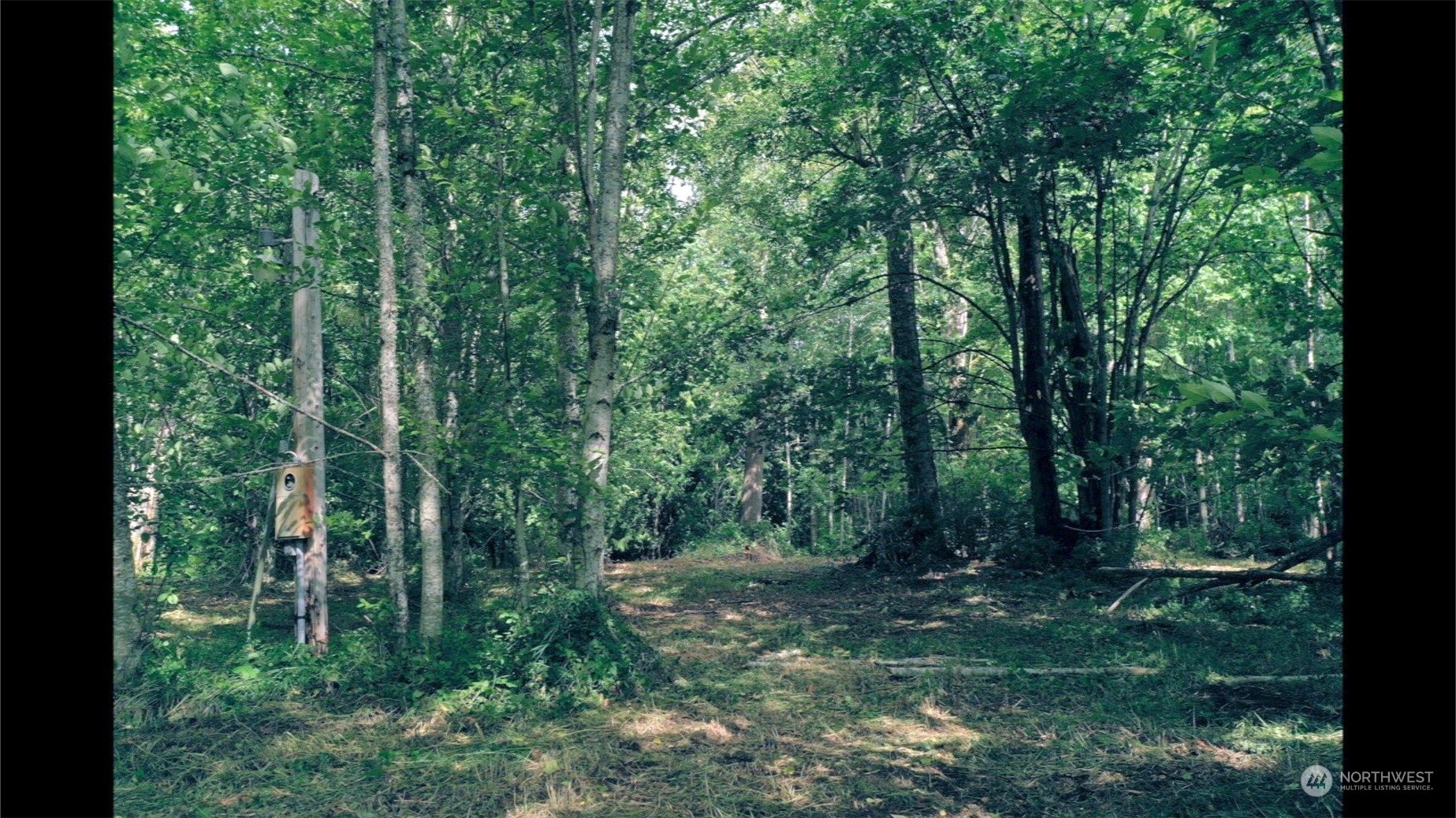 306 East Horton Road Bellingham, WA 98226 - Photo 8 of 11