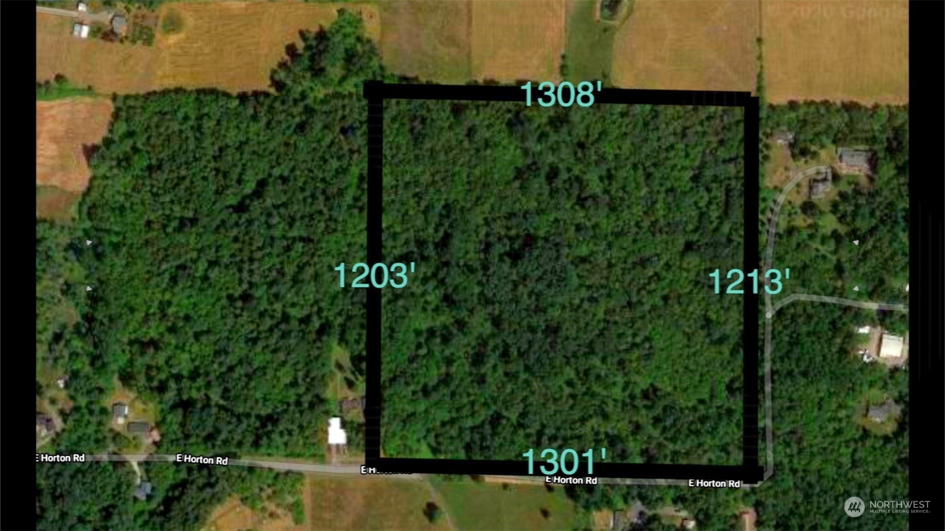 306 East Horton Road Bellingham, WA 98226 - Photo 10 of 11