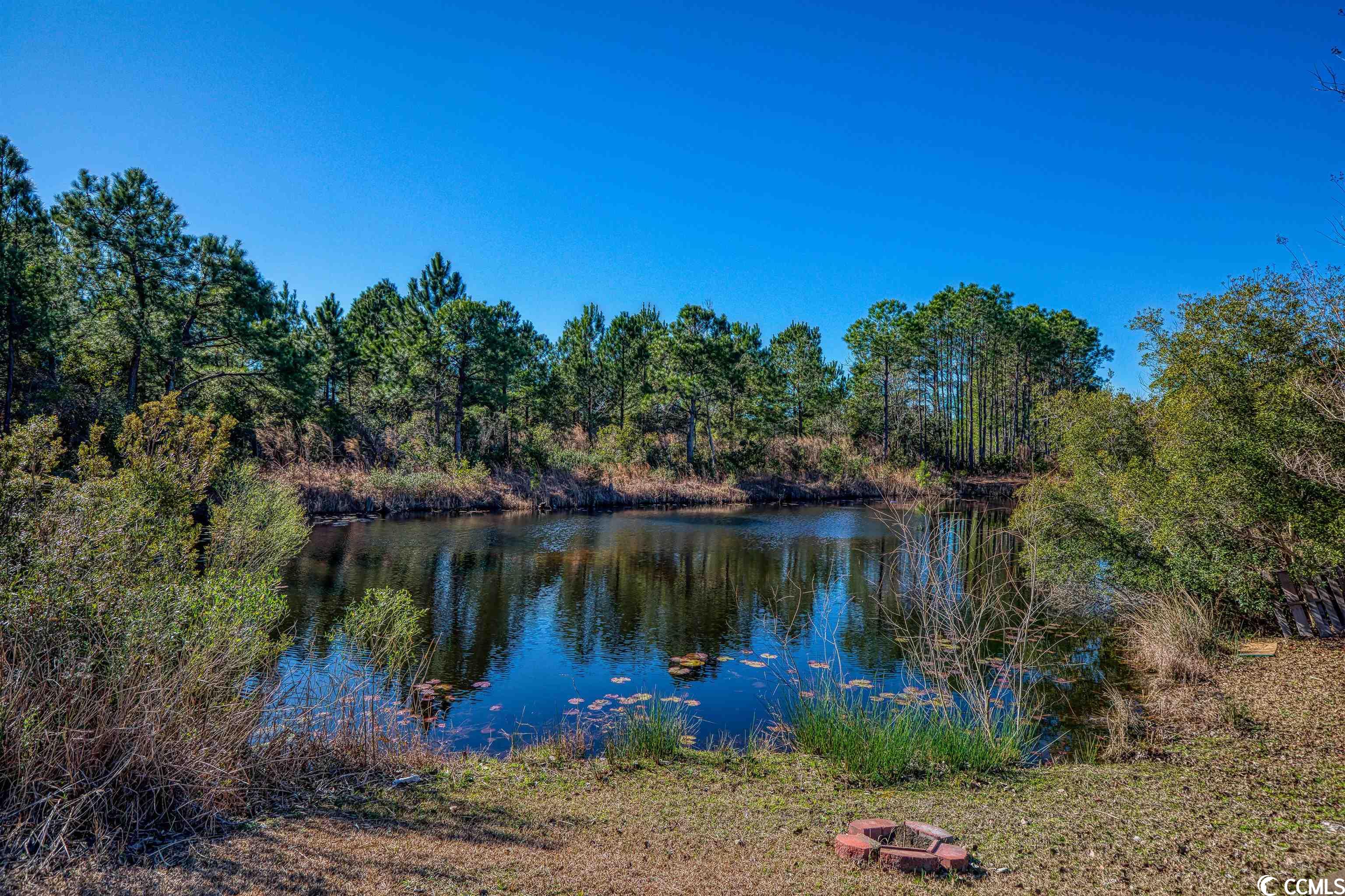 601 West Perry Road Myrtle Beach, SC 29579 - Photo 30 of 30 Gallery Image 30