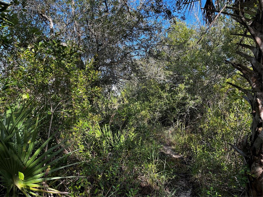 50204 Bermont Road Punta Gorda, FL 33982 - Photo 16 of 50 Gallery Image 16