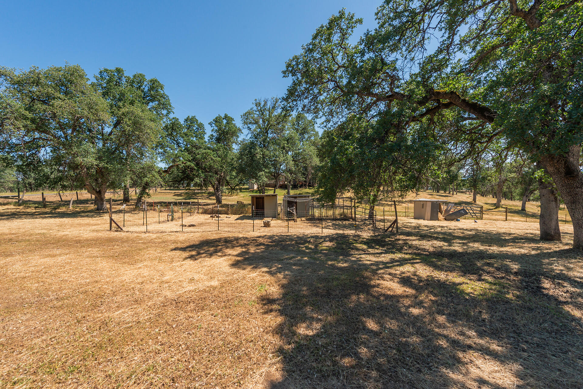 13575 Gas Point Road Igo, CA 96047 - Photo 52 of 59 Animal Pins