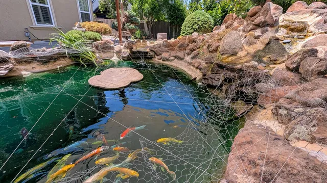 $890,000 | 4389 Kilroy Court, Rancho Cordova, CA 95742