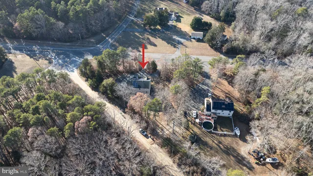 a view of a tree in a yard