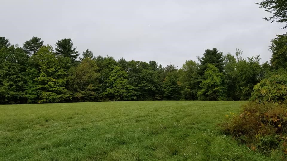 Montalona Road, Unit C625 Dunbarton, NH 03046 - Photo 3 of 4