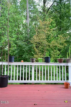a view of a yard with plants