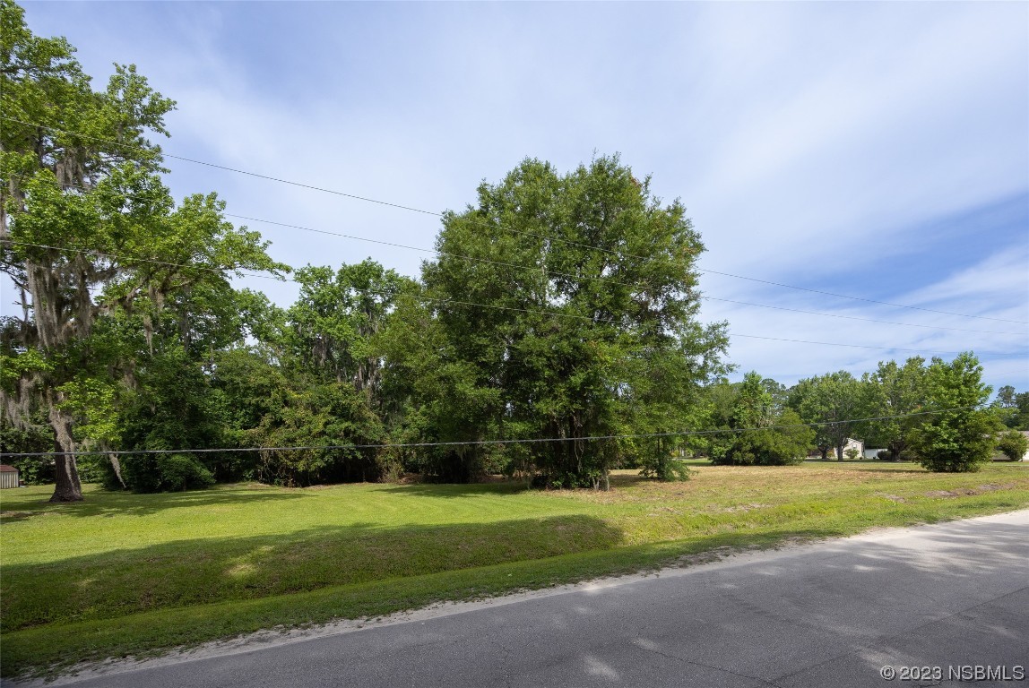 217 Hess Road Crescent City, FL 32112 - Photo 3 of 18 Gallery Image 3