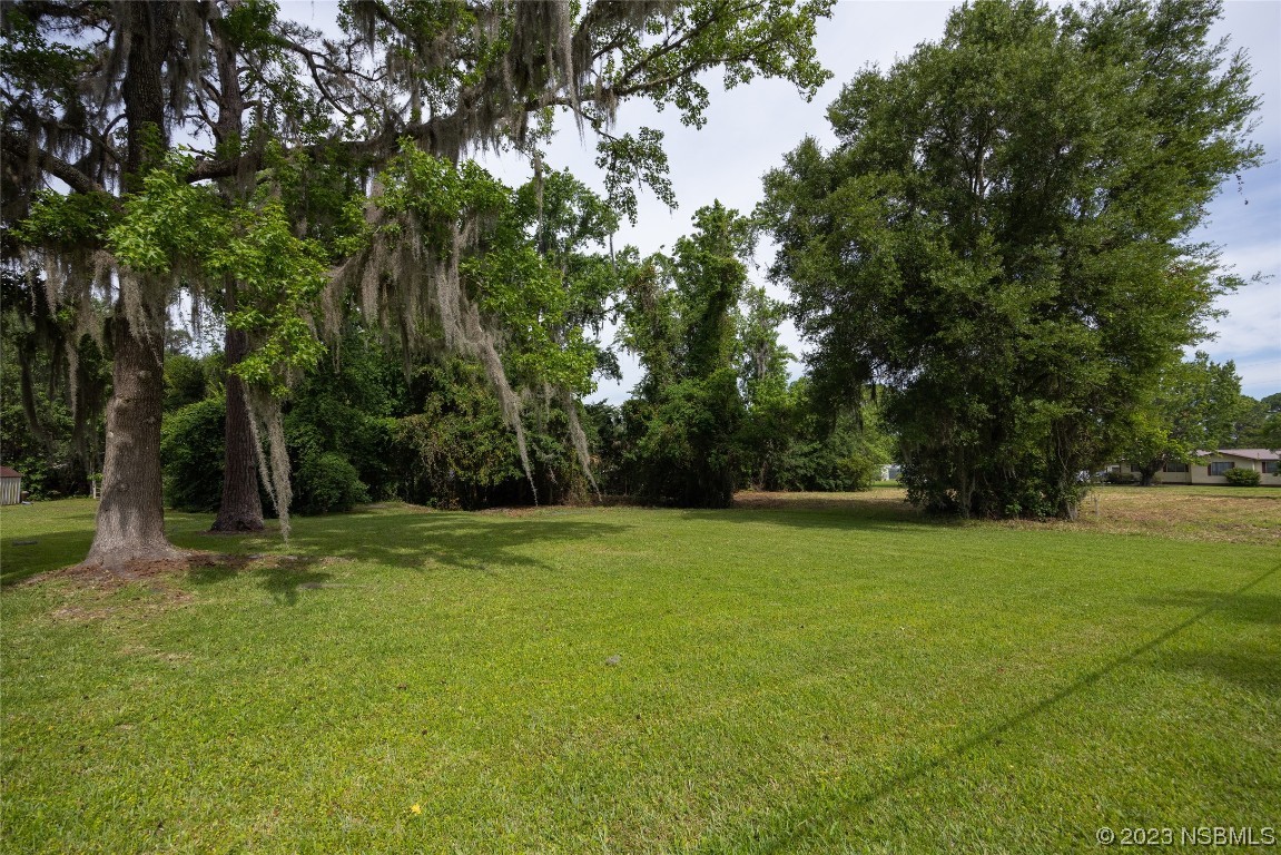 217 Hess Road Crescent City, FL 32112 - Photo 4 of 18 Gallery Image 4