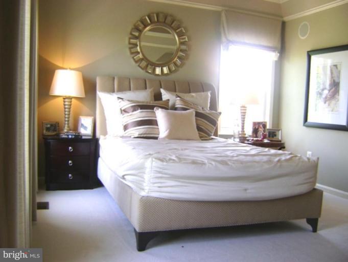 2638 Mill Race Road Frederick, MD 21701 - Photo 11 of 21 Master Bedroom with Custom Paint and Tray Ceiling