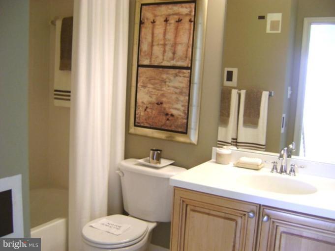 2638 Mill Race Road Frederick, MD 21701 - Photo 16 of 21 Hall Bath with custom paint accents