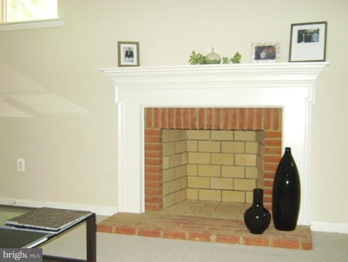 2638 Mill Race Road Frederick, MD 21701 - Photo 18 of 21 Rec Room with Woodburning Fireplace