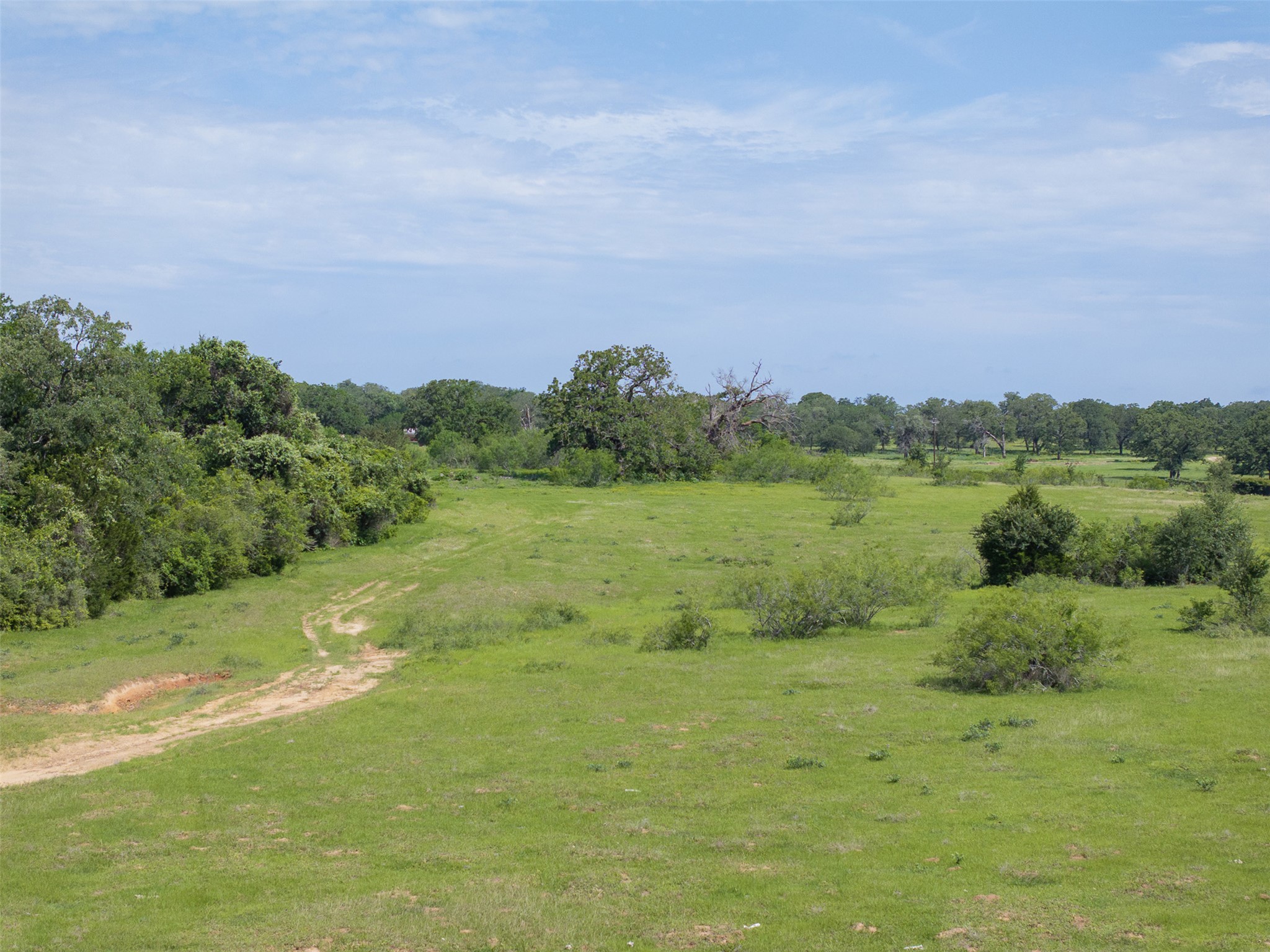459 County Road 459 Road Thorndale, TX 76577 - Photo 24 of 35 a view of a field with an trees