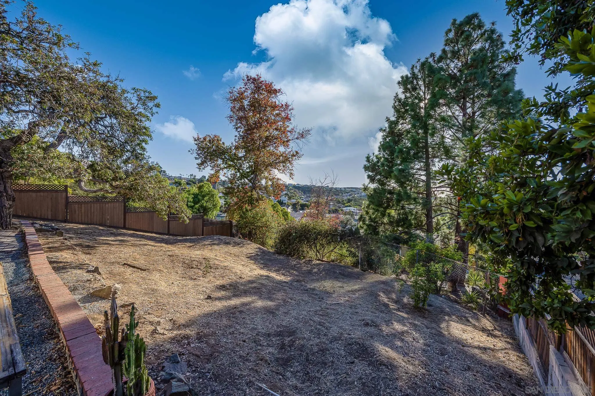4344 Avon Drive La Mesa, CA 91941 - Photo 38 of 50 a view of a backyard of the house