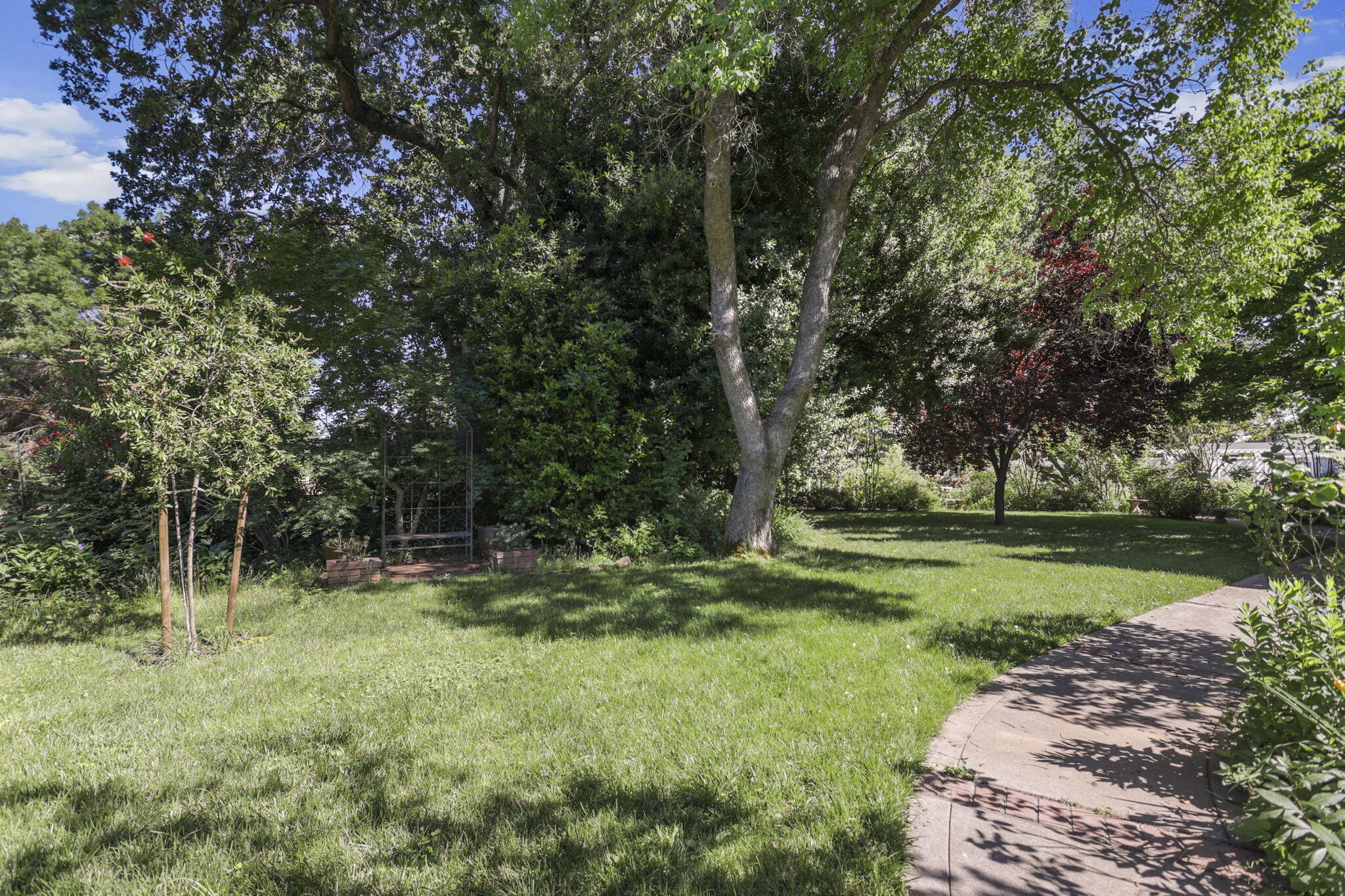 3776 Gover Road Anderson, CA 96007 - Photo 124 of 262 126-web-or-mls-8Q0A5062