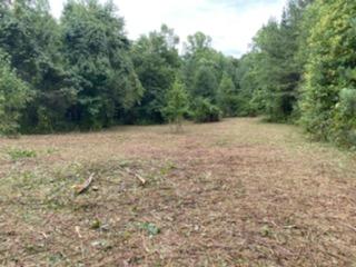 23.87-ac Rhea County Highway Spring City, TN 37381 - Photo 3 of 21 3