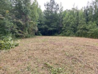23.87-ac Rhea County Highway Spring City, TN 37381 - Photo 5 of 21 5