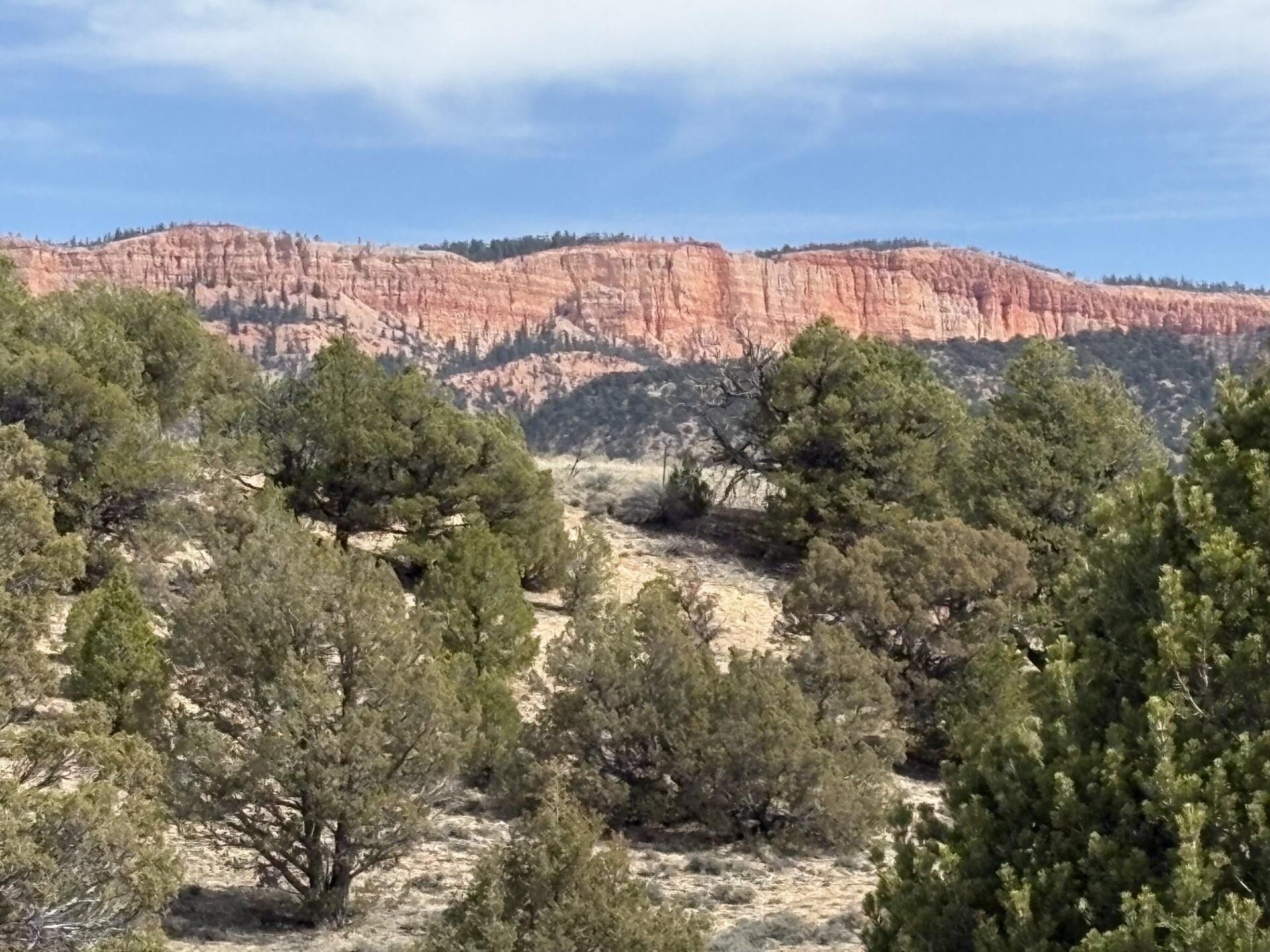1795 Eagle Ridge Circle Hatch, UT 84735 - Photo 7 of 8 d01be65e-7ea0-44fb-b871-458f1a3cdb06