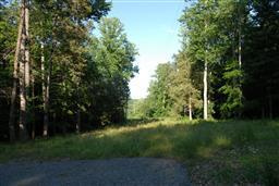 0 Shelton Road Lynchburg, TN 37352 - Photo 2 of 2 Gallery Image 2