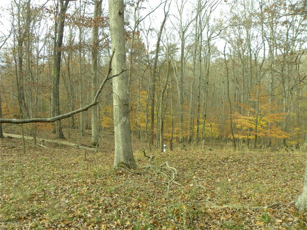 1400 Jackson Branch Ridge Road Nashville, IN 47448 - Photo 20 of 24 Gallery Image 20