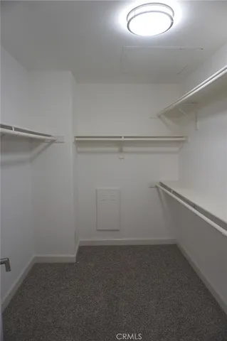 a view of a backyard with a garden and plants