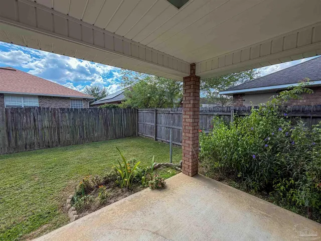 a view of a backyard with plants and large trees