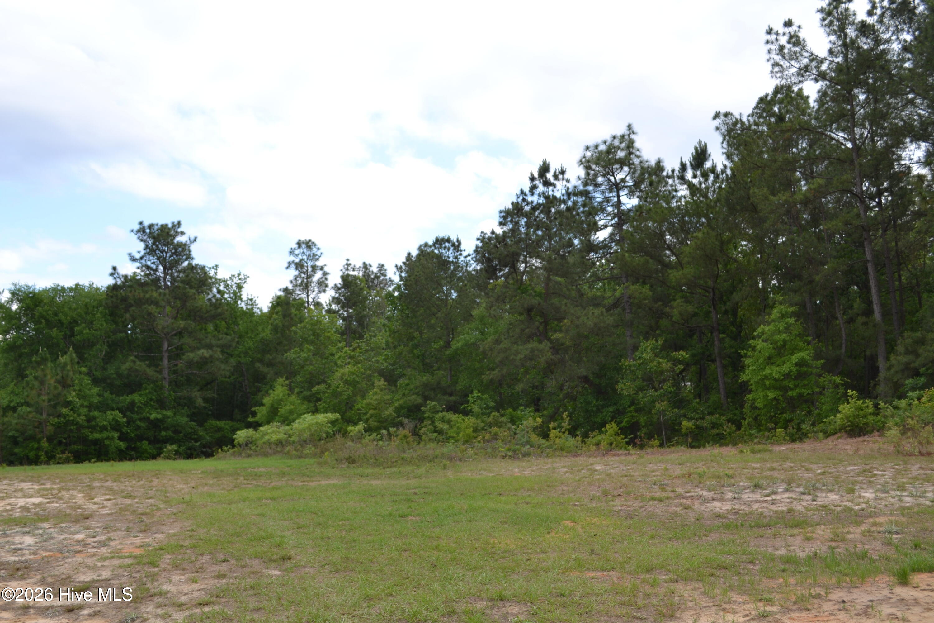 0 Old Barnwell Road Aiken, SC 29803 - Photo 4 of 20 Partially cleared section.