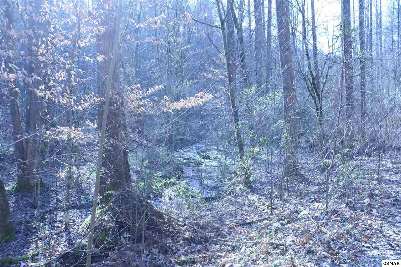 0 Ball Hollow Road Cosby, TN 37722 - Photo 8 of 36 Gallery Image 8