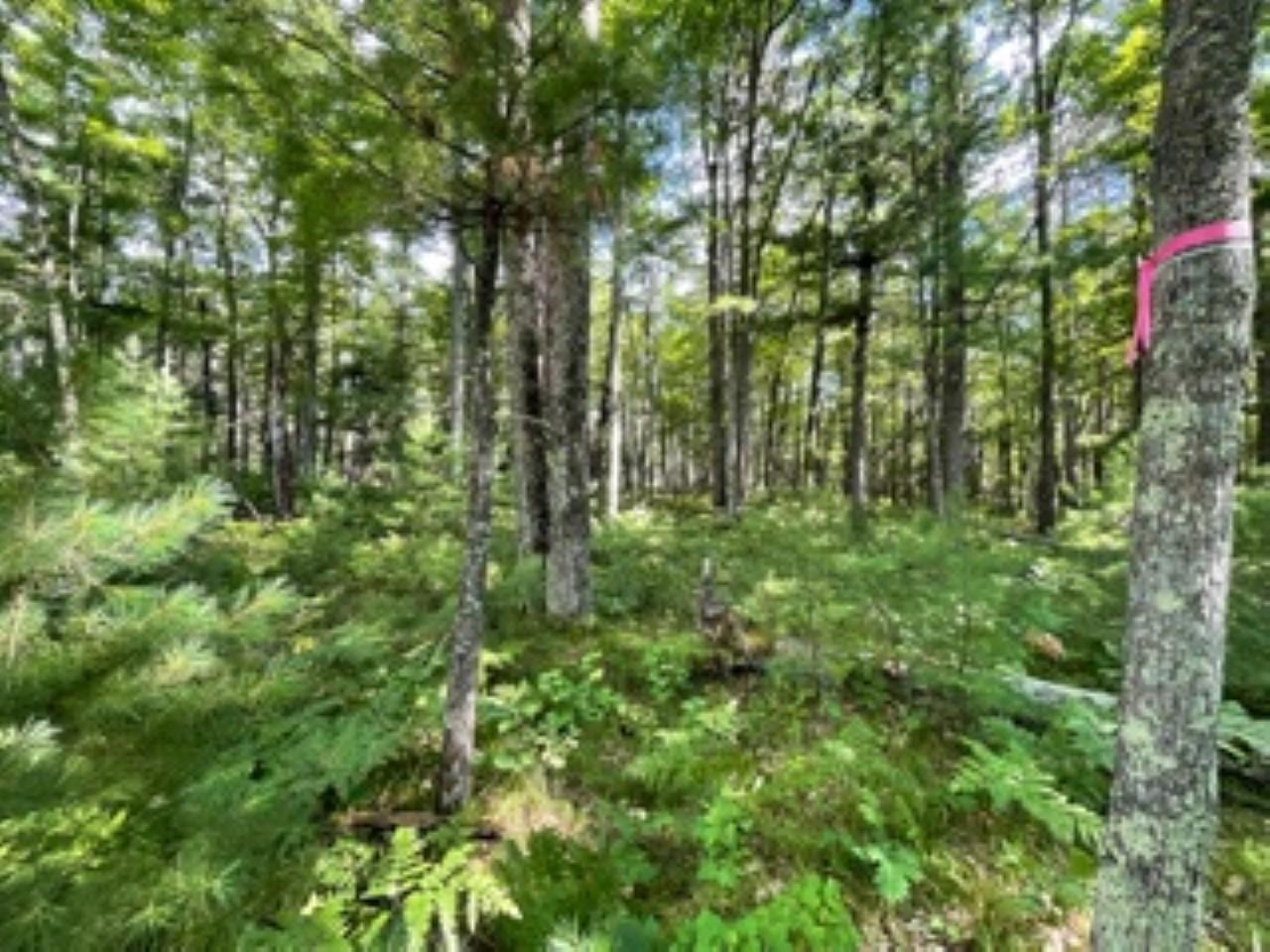 Lot 4 Tooly Court Rhinelander, WI 54501 - Photo 7 of 20 Gallery Image 7