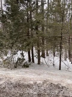 $69,900 | Lot#0 Roosevelt Trail, Naples, ME 04055