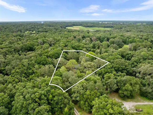 a view of a field with an ocean