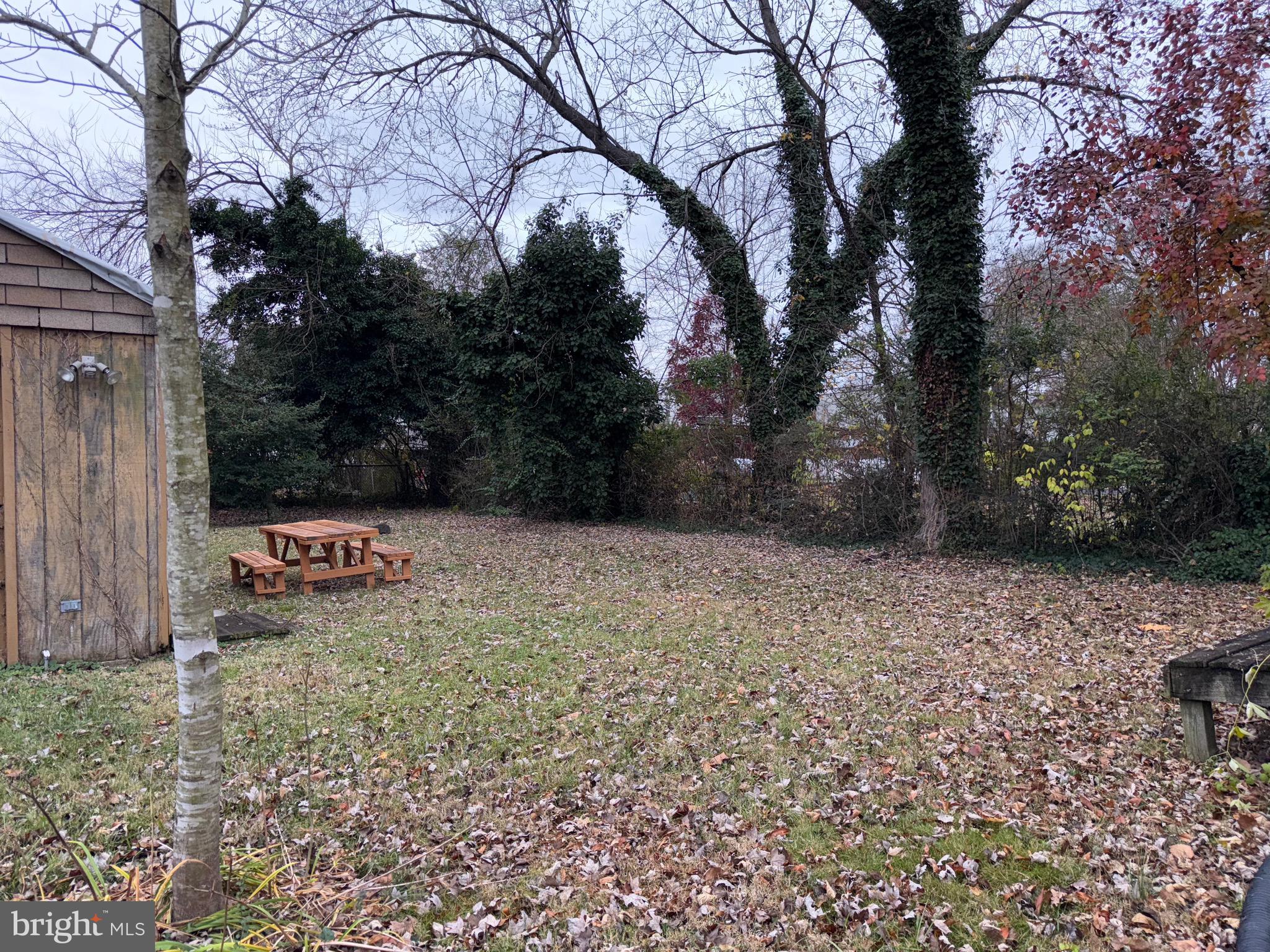 4803 Somerset Road Riverdale, MD 20737 - Photo 15 of 17 Rear yard