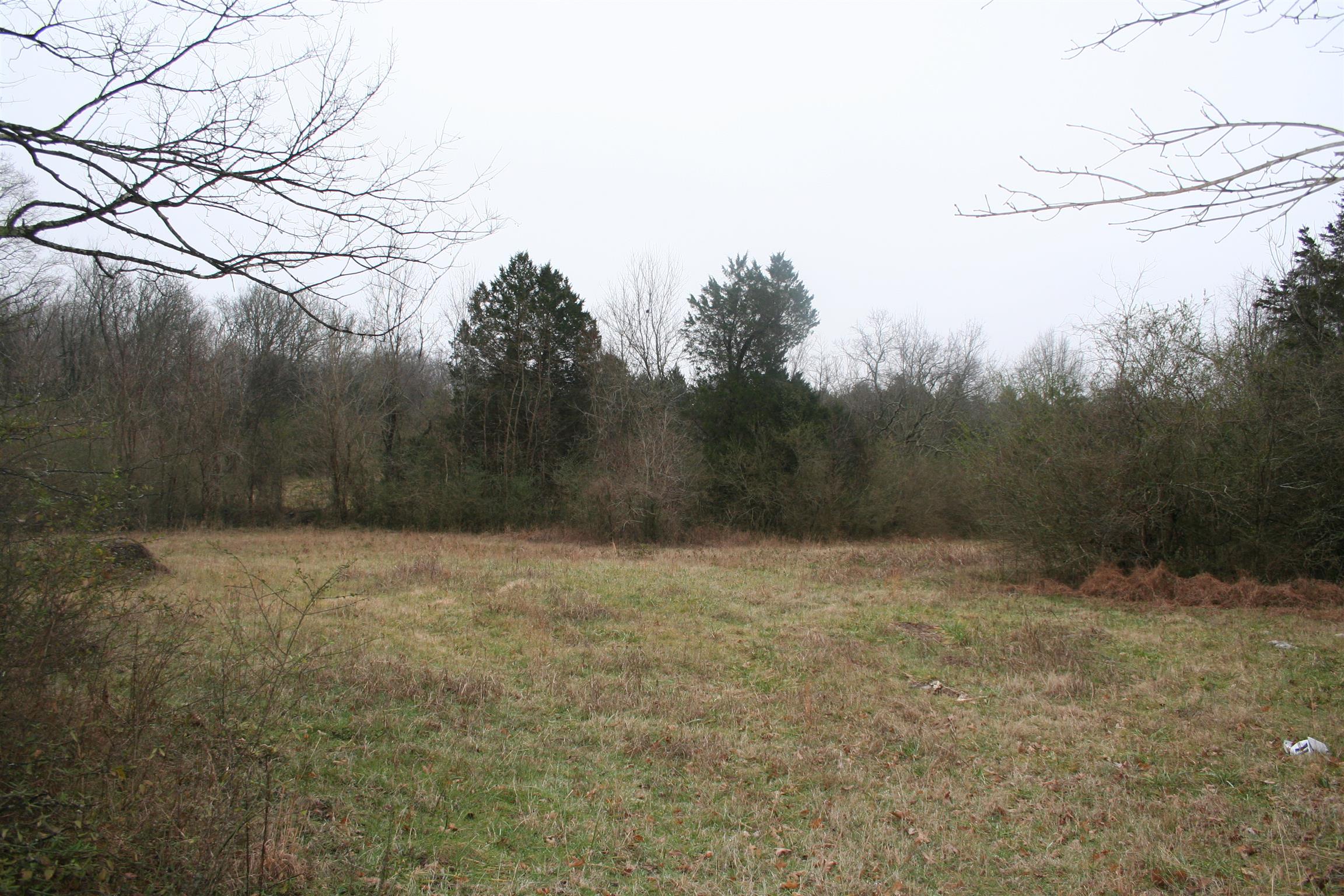 1496 Union Grove Road Columbia, TN 38401 - Photo 1 of 6 a view of a yard with large trees