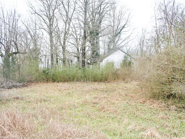 1496 Union Grove Road Columbia, TN 38401 - Photo 3 of 6 a view of a yard with a tree