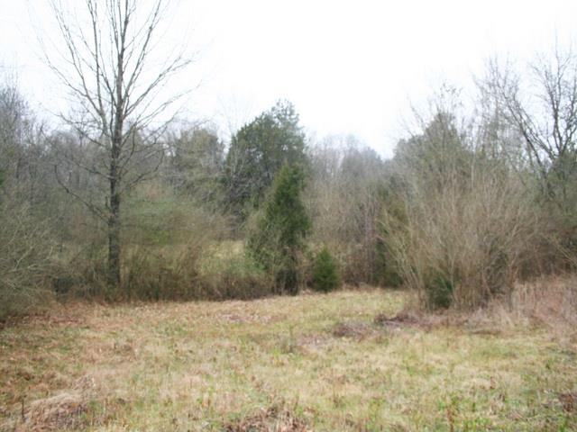 1496 Union Grove Road Columbia, TN 38401 - Photo 4 of 6 a view of a yard