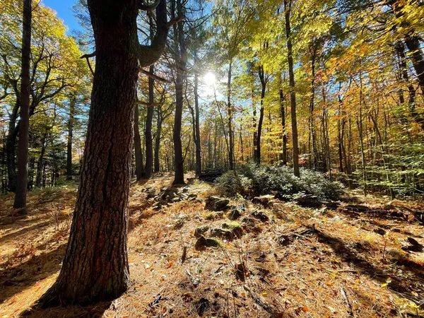 $89,900 | 0 Rindge Turnpike, Ashburnham, MA 01430