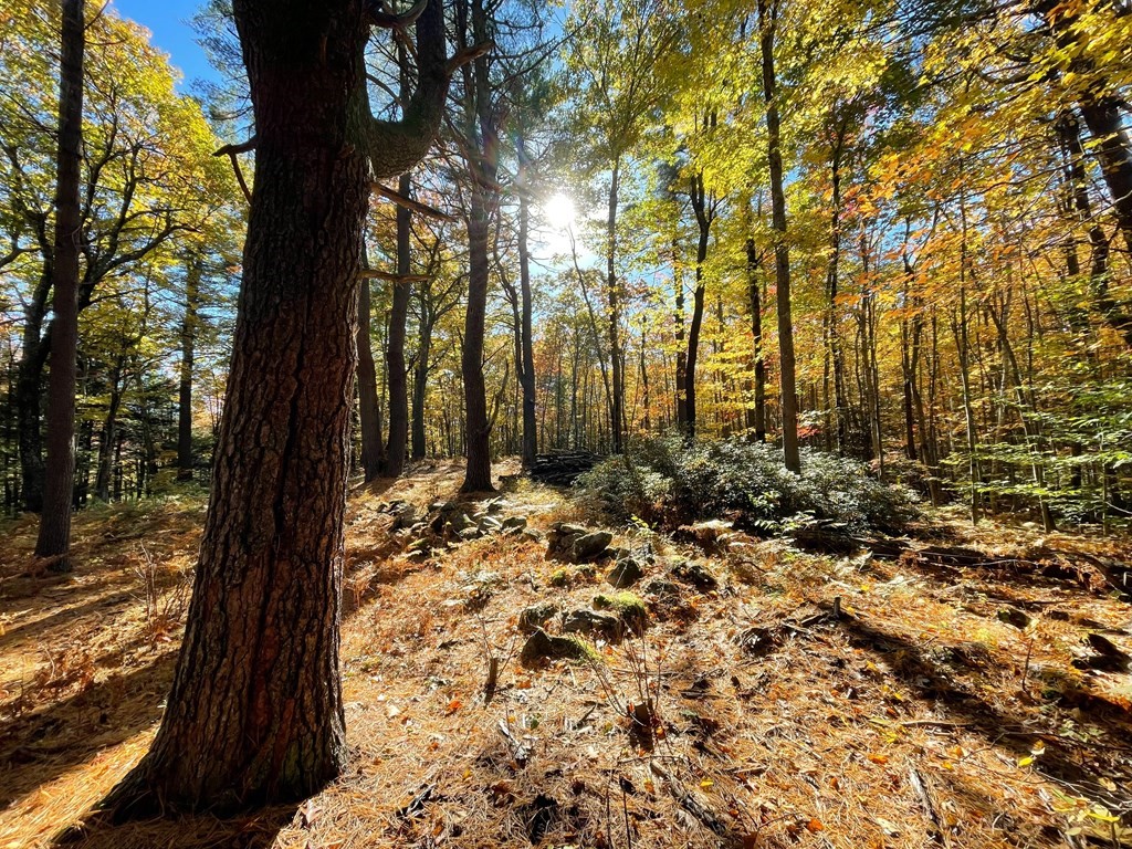 0 Rindge Turnpike Ashburnham, MA 01430 - Photo 12 of 12