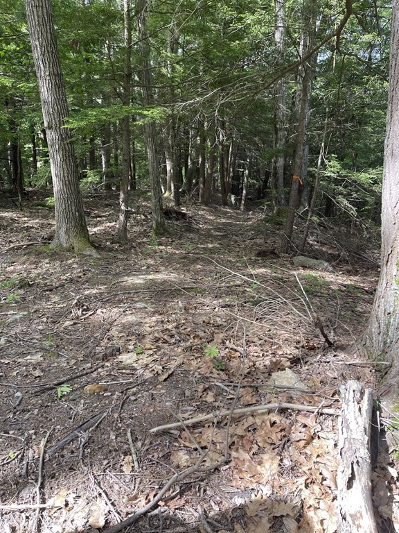 0 Rindge Turnpike Ashburnham, MA 01430 - Photo 2 of 12