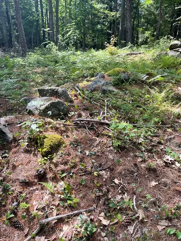 $99,900 | 0 Rindge Turnpike, Ashburnham, MA 01430