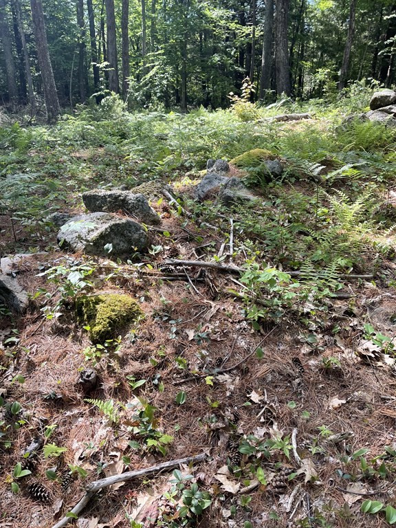 0 Rindge Turnpike Ashburnham, MA 01430 - Photo 4 of 12