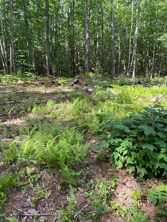 $89,900 | 0 Rindge Turnpike, Ashburnham, MA 01430