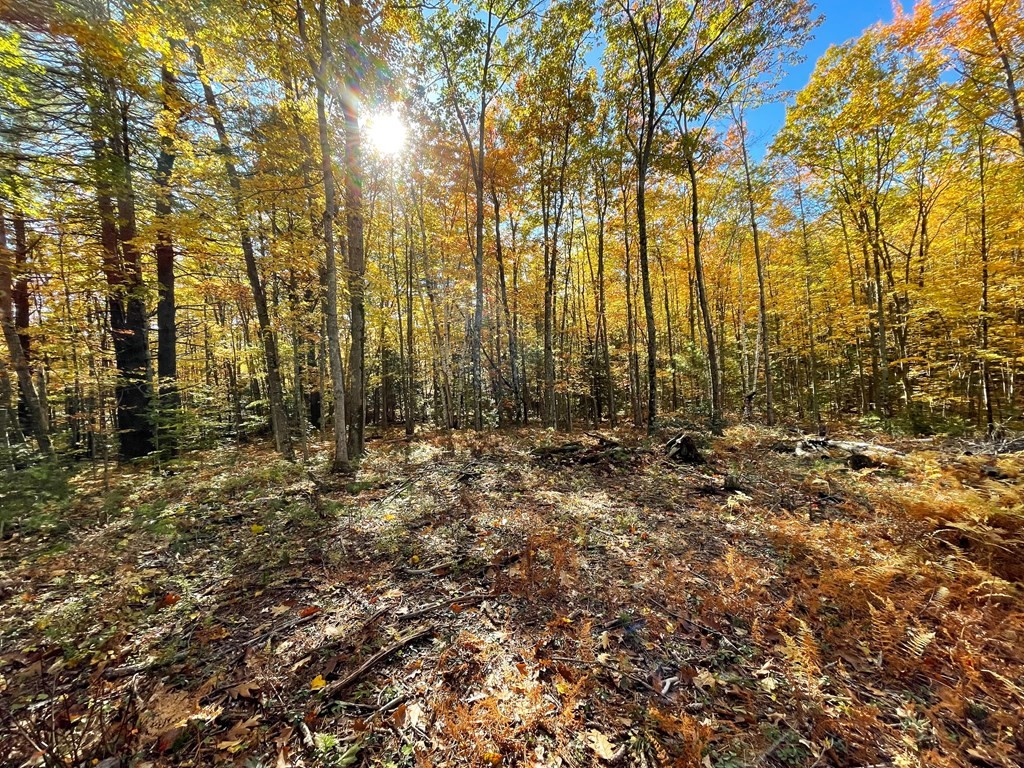 0 Rindge Turnpike Ashburnham, MA 01430 - Photo 8 of 12