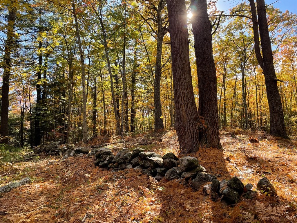 0 Rindge Turnpike Ashburnham, MA 01430 - Photo 9 of 12